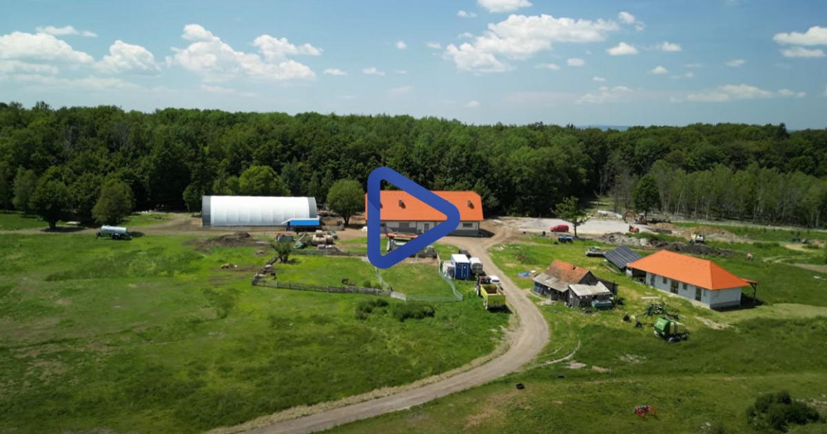 Ellátogattunk a varázslatos környezetű Kongo Farmra